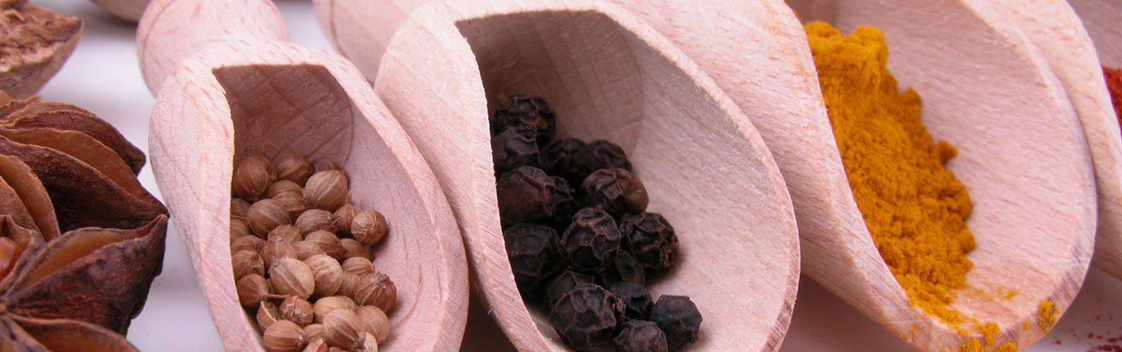 Establishing Your Brand on College Campuses 